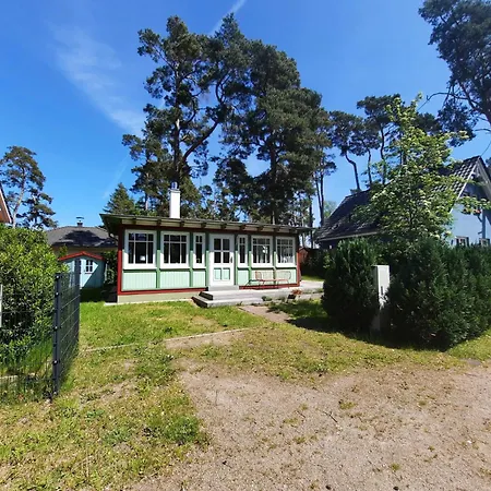 Kienhus